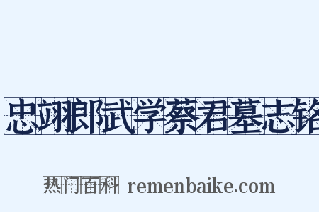 忠翊郎武学蔡君墓志铭是什么意思的图片